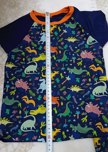 Penti Dinozor Desenli Erkek Çocuk Mayo Takımı - Görsel 4