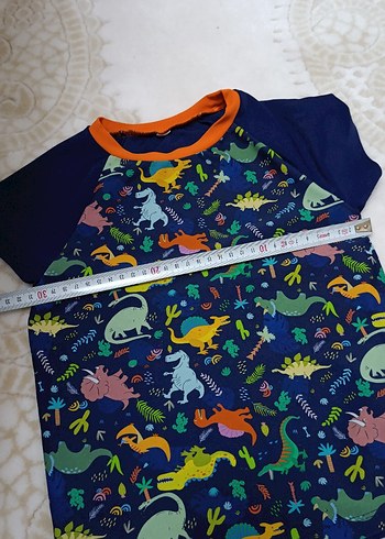 Penti Dinozor Desenli Erkek Çocuk Mayo Takımı - Görsel 3