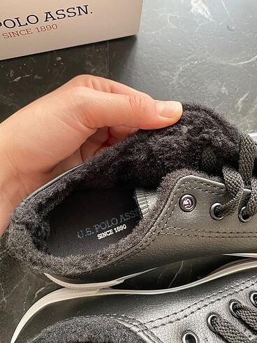 37 Beden U.S Polo Assn.