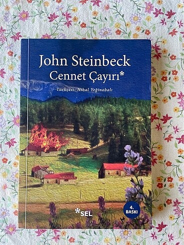  Kitap