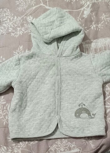 HELLO BABY HIRKA
