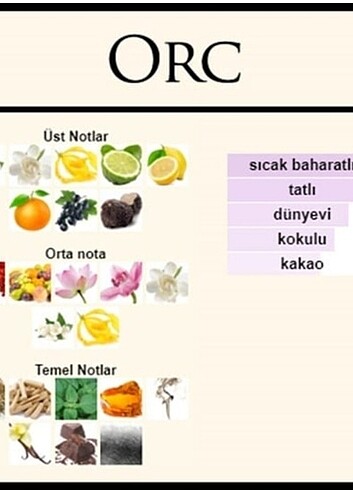 Diğer Tutaste 50 ml. 