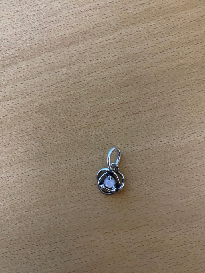 Pandora charm - Görsel 2