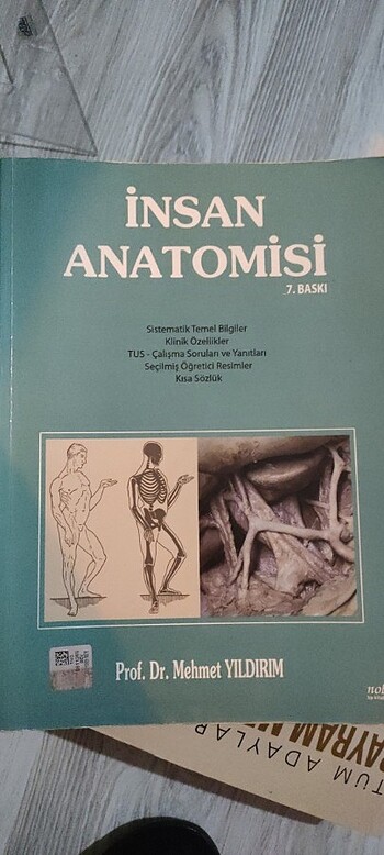 İnsan anatomisi kitabı 