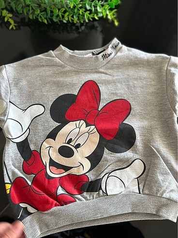 24-36 Ay Beden Lcw kız bebek sweatshirt