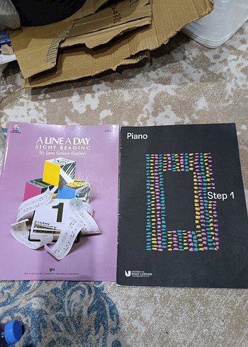 Alineaday ve Piano Sanat Kitapları