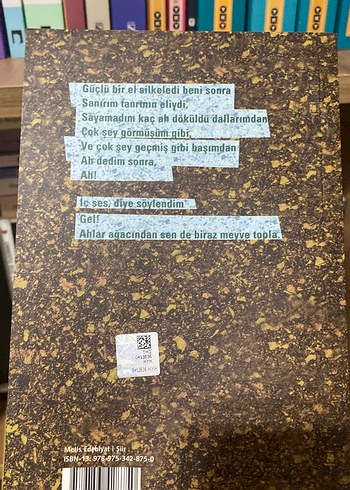 Ahılar Ağacı - Didem Madak - Görsel 4