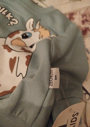 mint Uzun Kollu Bebek Erkek Takımı - Görsel 3