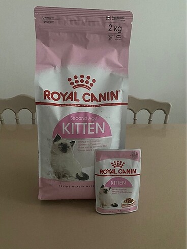 Kedi maması