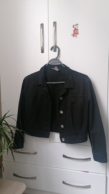 Bershka kot ceket