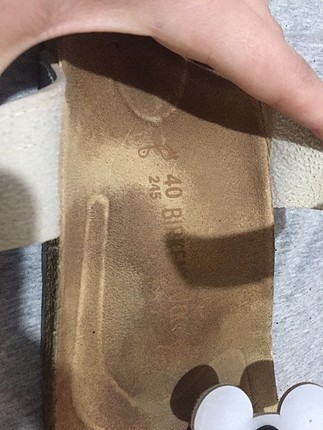 40 Beden Birken