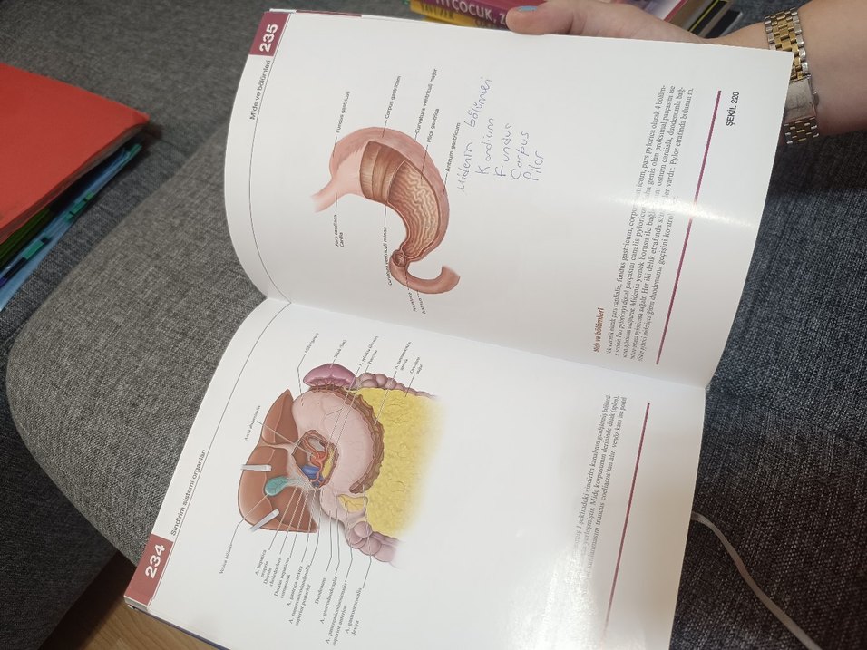 Morton İnsan Anatomi Atlası - Görsel 5