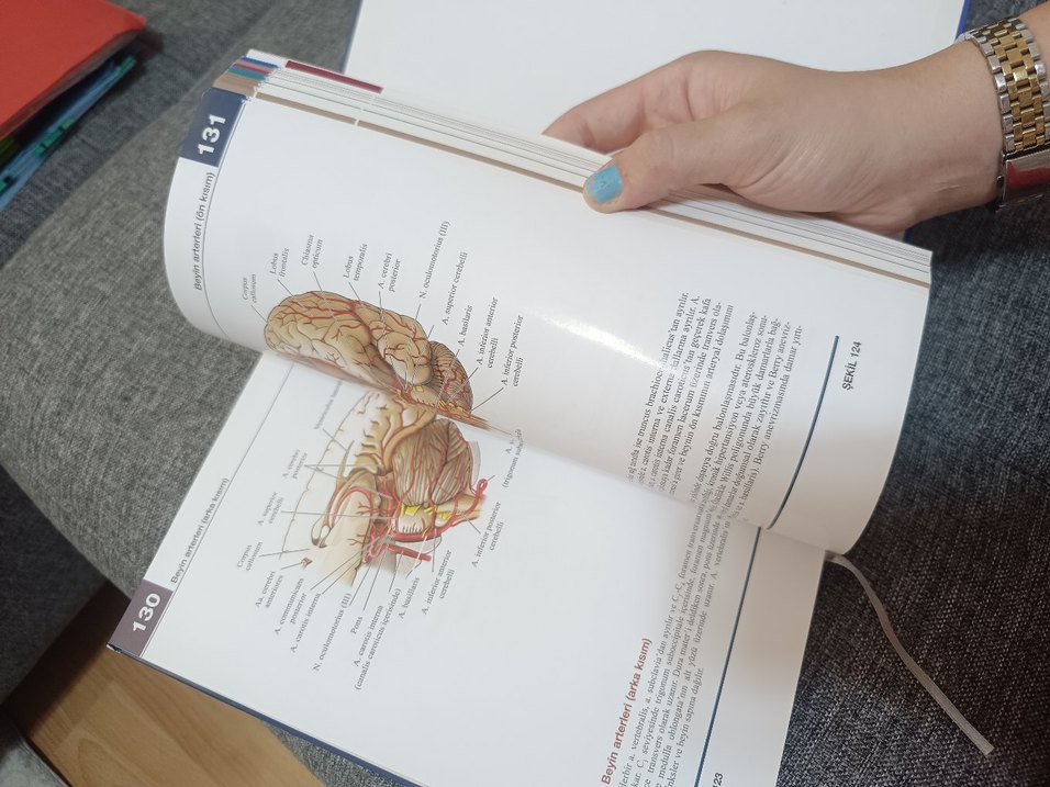 Morton İnsan Anatomi Atlası - Görsel 4