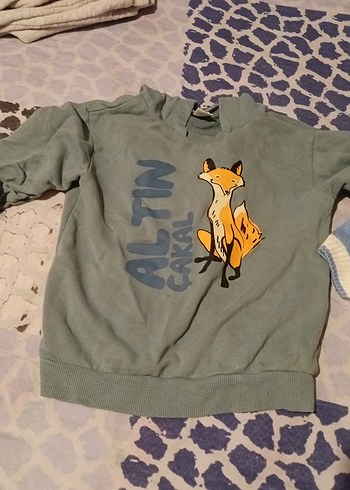 Diğer Standart Beden