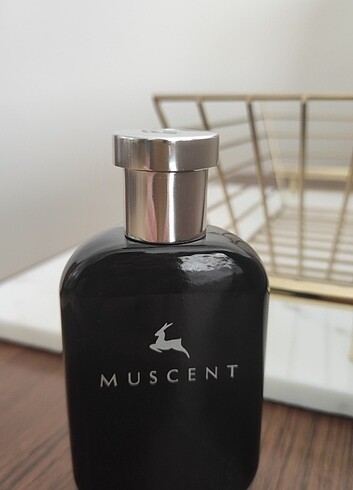 Muscent F033