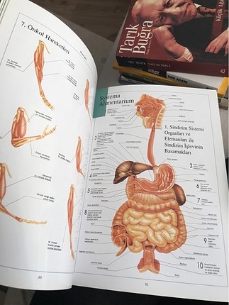  Beden Anatomi atlası çok faydalı bir kitap