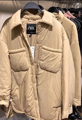 L beden Zara