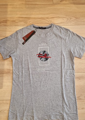 Erkek Gri Kısa Kollu Baskılı Tişört - Görsel 2