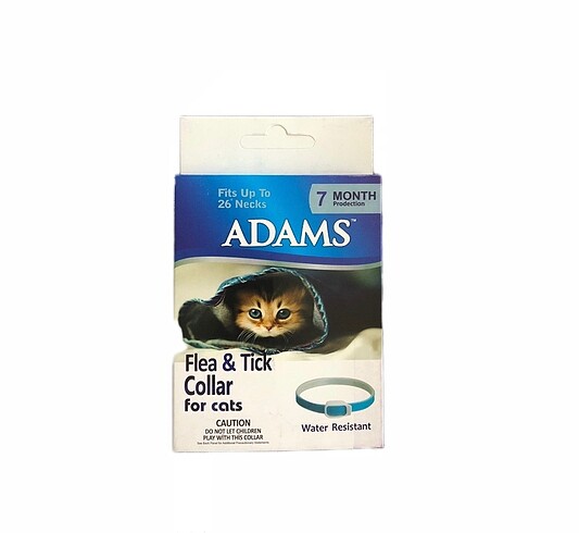 Adams Bit Pire Kene Kedi Tasması