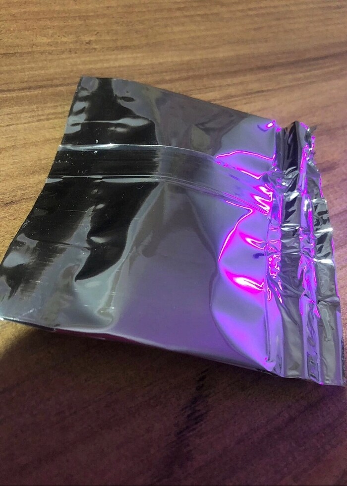 Adams Bit Pire Kene Kedi Tasması - Görsel 3