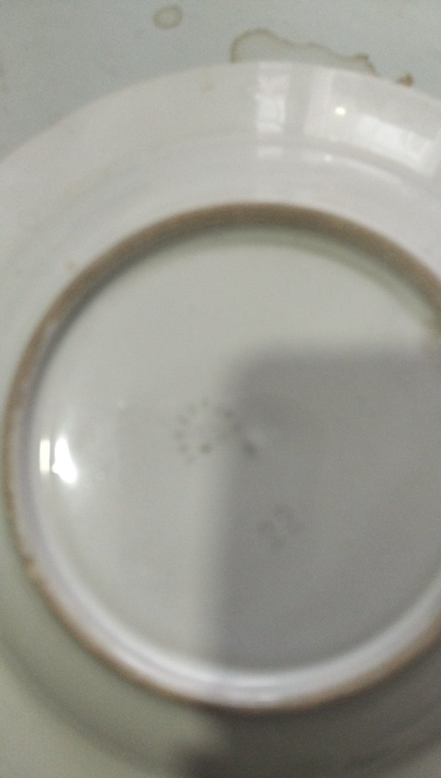 Pastel Çiçek Desenli Beyaz Tabak - Görsel 3