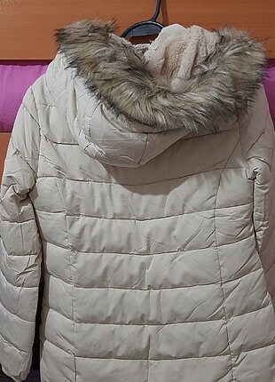 Stradivarius Mont