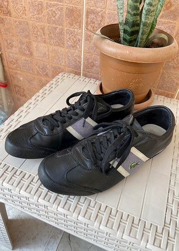 Lacoste Siyah Bağcıklı Erkek Spor Ayakkabı
