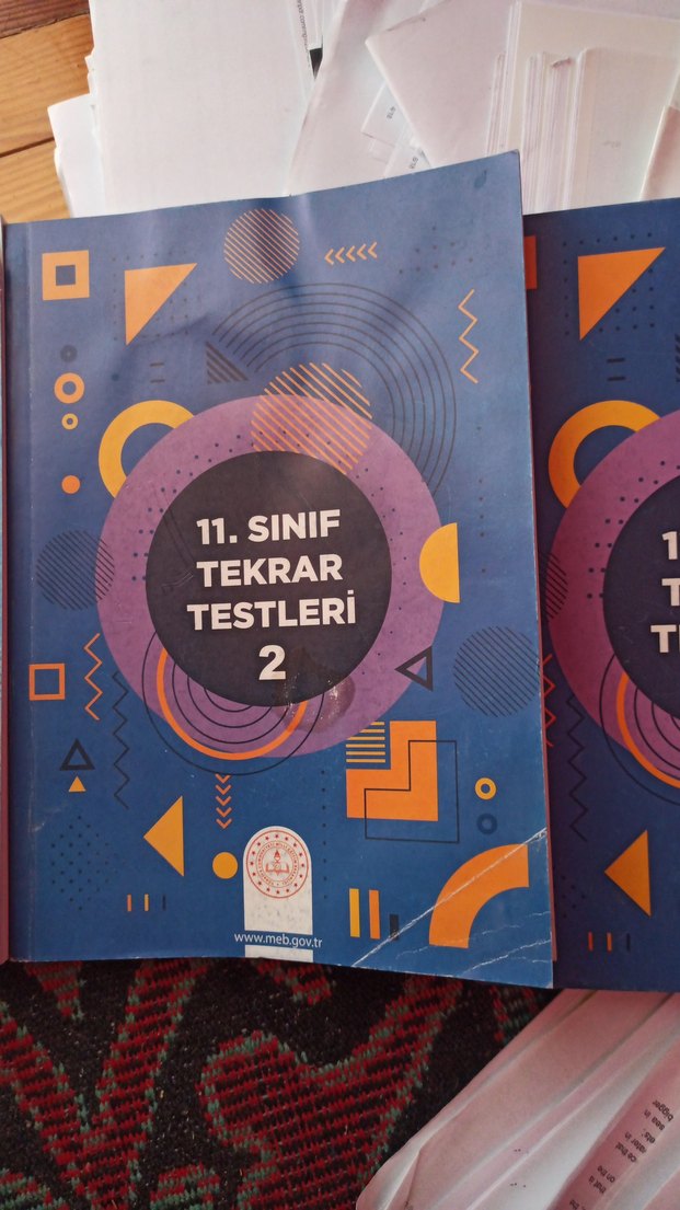 11. Sınıf Tekrar Testleri Seti - Görsel 4
