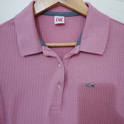 lacoste tshirt