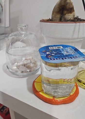 Turuncu Dilim Tasarımlı Altlık - Görsel 4