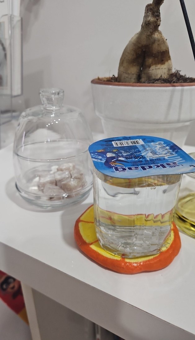 Turuncu Dilim Tasarımlı Altlık - Görsel 4