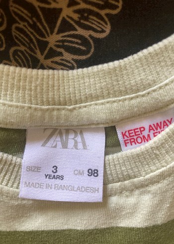 Erkek Çocuk Kısa Kollu Yeşil Çizgili Tişört - Görsel 3