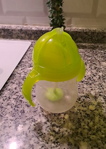 Yeşil suluk munchkin - Görsel 4