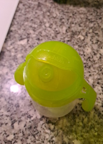 Yeşil suluk munchkin - Görsel 2