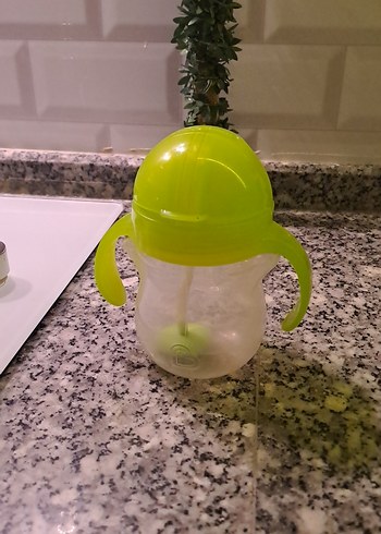 Yeşil suluk munchkin - Görsel 3