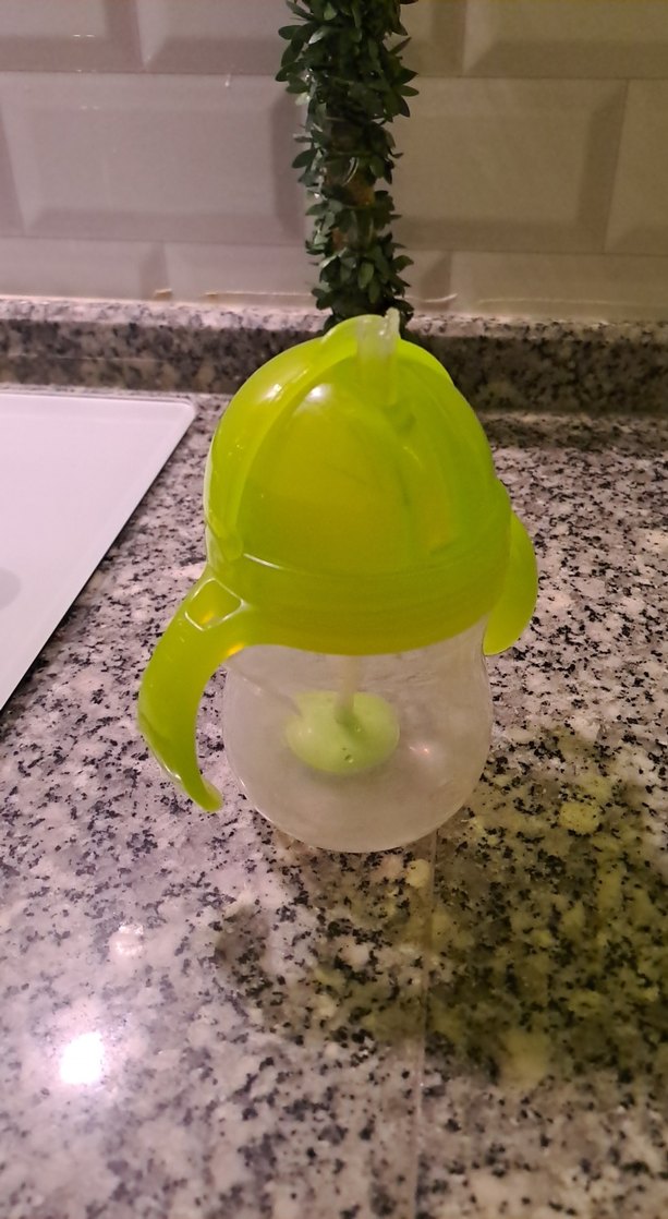 Yeşil suluk munchkin - Görsel 4