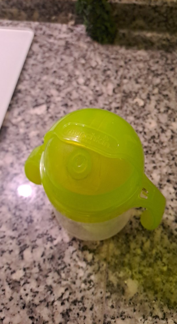 Yeşil suluk munchkin - Görsel 2