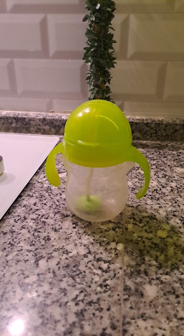 Yeşil suluk munchkin - Görsel 3