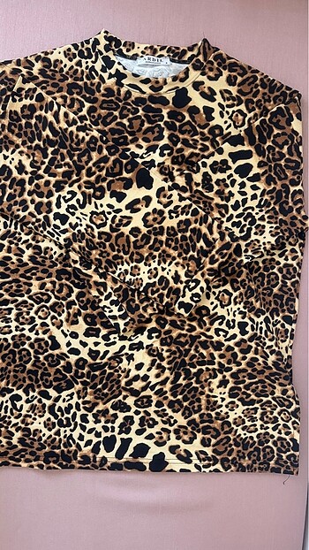 Leopar Üst