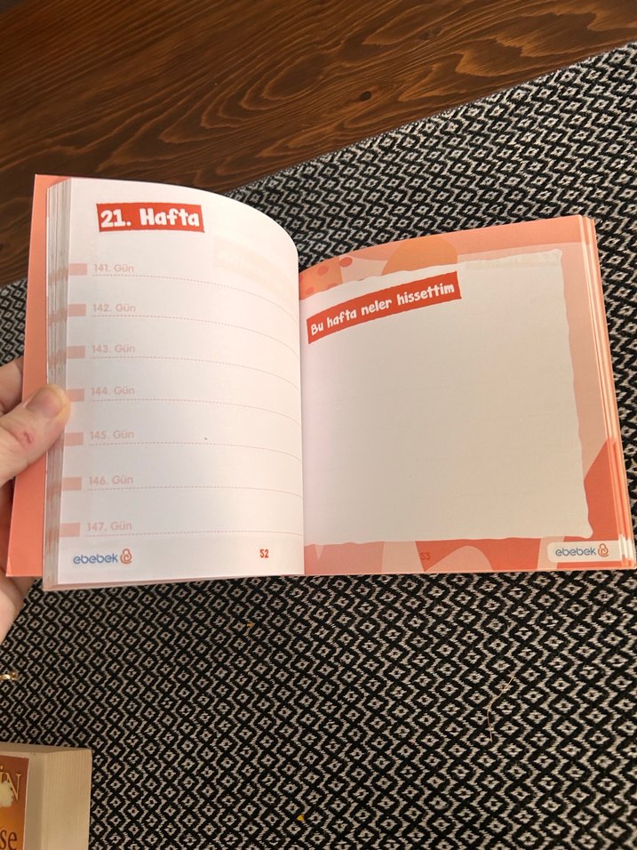 Hamilelik ajandası - Görsel 5