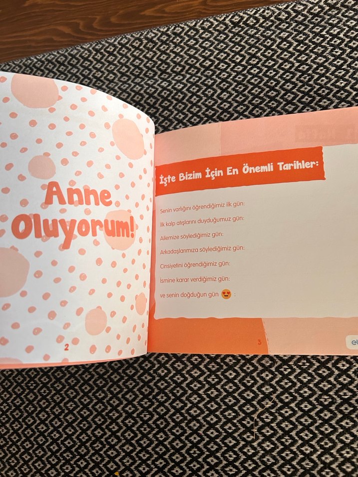 Hamilelik ajandası - Görsel 2