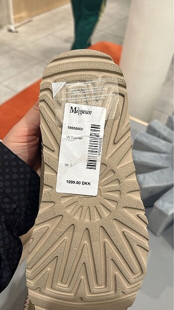 36 Beden Ugg tasman