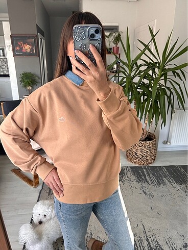 Lacoste sweatshirt
