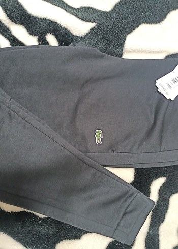 Lacoste Koyu Siyah Spor Esofman Alti