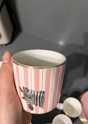 Porland Çizgili Fincan ve Tepsi Seti - Görsel 5