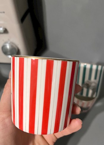 Porland Çizgili Fincan ve Tepsi Seti - Görsel 3