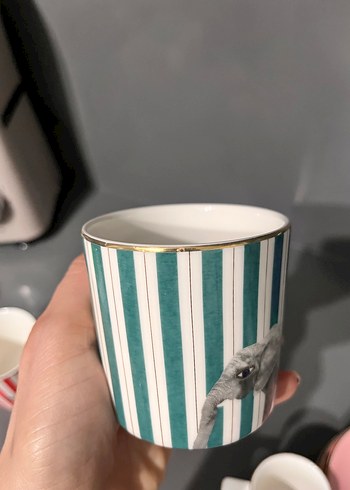 Porland Çizgili Fincan ve Tepsi Seti - Görsel 4