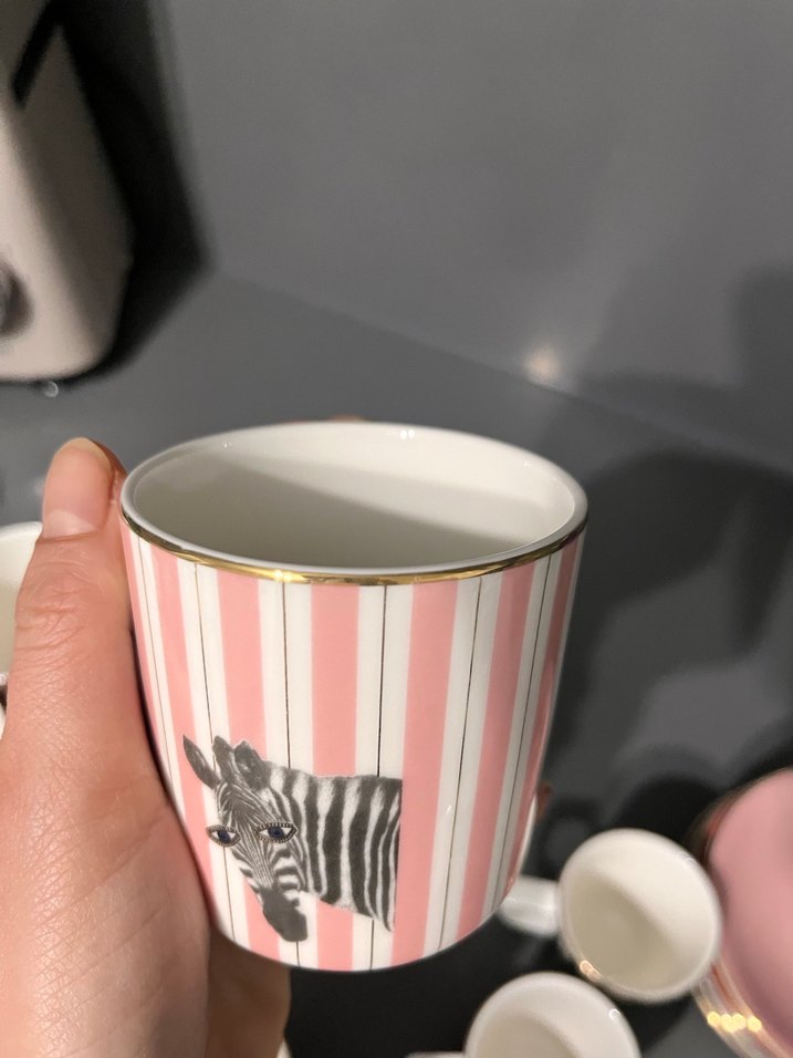 Porland Çizgili Fincan ve Tepsi Seti - Görsel 5