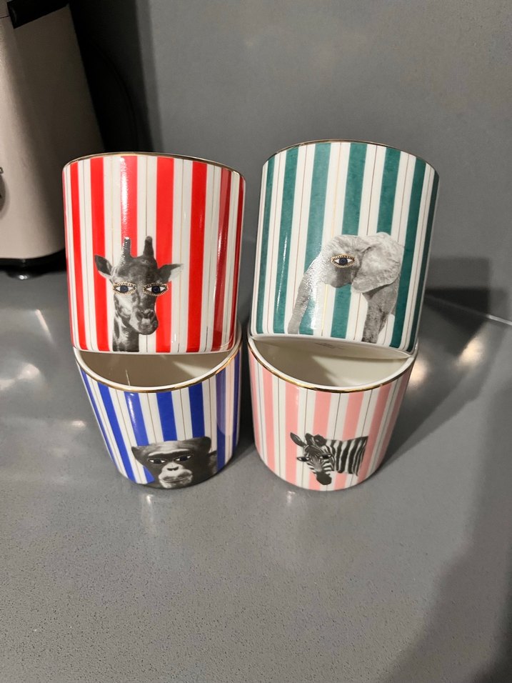 Porland Çizgili Fincan ve Tepsi Seti - Görsel 2