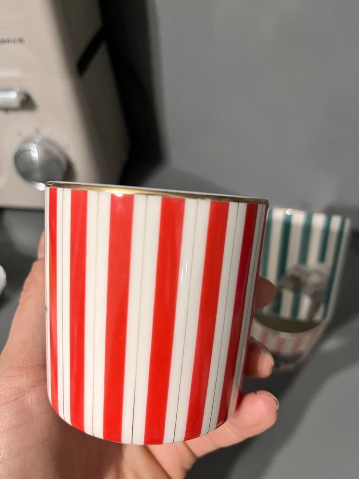 Porland Çizgili Fincan ve Tepsi Seti - Görsel 3